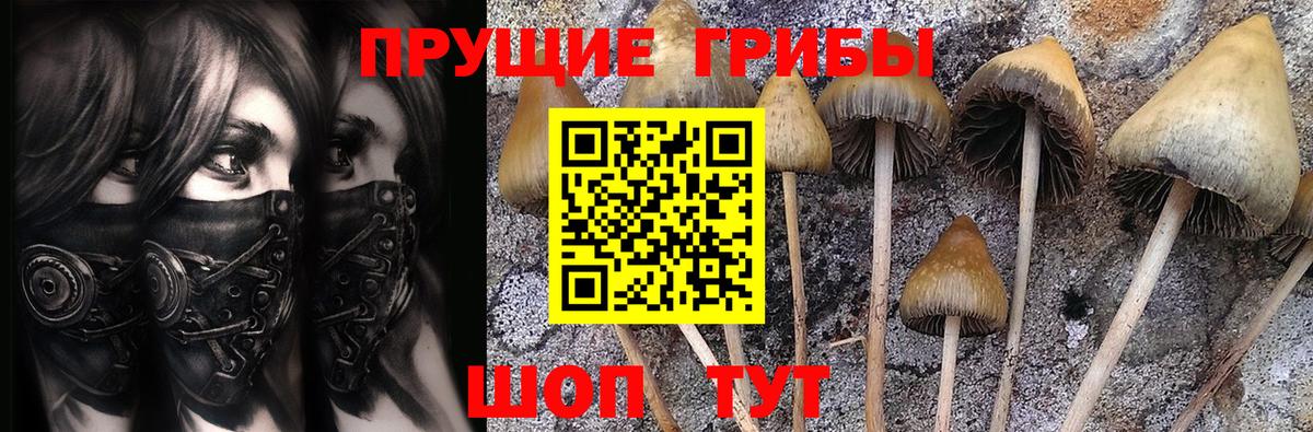 сколько стоит  Вход с VPN  Псилоцибиновые грибы ЛСД  Якутск  Псилоцибиновые грибы мицелий 